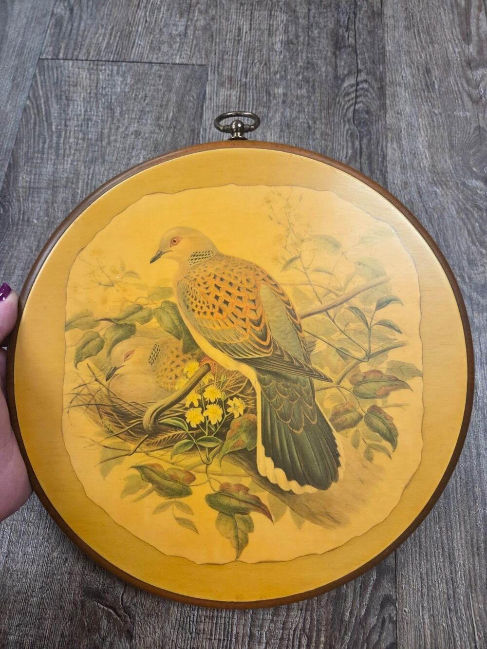 Turtle Dove Wood Round Wall Hanging Decor Bird Art by John Gould Vintage MCM